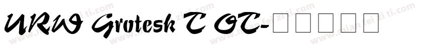 URW Grotesk T OT字体转换